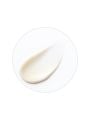 Missha Chogongjin Sosaeng Emulsion - 120ml