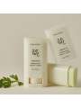 Beauty Of Joseon Matte Sun Stick Mugworth + Camelia Spf 50+ Pa++++ 18g 