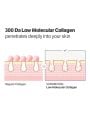 Sungboon Editor Deep Collagen Power Boosting Cream In Serum - 30ml