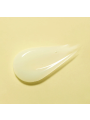 Torriden Solid-In Ceramide All Day Essence- 100ml
