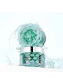 VT Cosmetics Pdrn Capsule Cream 100 - 50ml