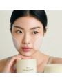 Abib Jericho Rose Collagen Pad Firming Touch - 60pcs