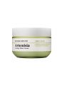 Bring Green Artemisia Calming Water Cream - 75ml