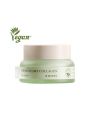 Mizon Phyto Plump Collagen Day Cream - 50ml