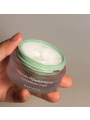 HaruHaru Centella Phyto & 5Peptide Concentrate Cream - 30ml