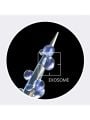 Medicube One Day Exosome Shot Pore Ampoule 7500 - 30ml