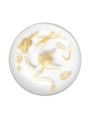 Sungboon Editor Silk Peptide Intensive Lifting Serum - 35ml