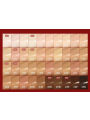 TIRTIR Mask Fit Red Cushion 17N Vanilla - 18gr