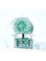 VT Cosmetics Pdrn Capsule Cream 100 - 50ml