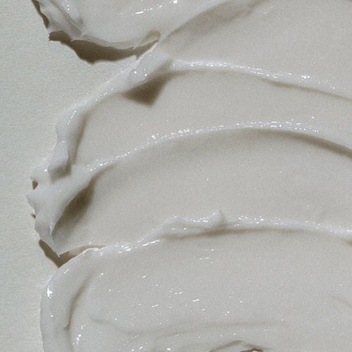 Abib Jericho Rose Nutrition Cream - 75ml