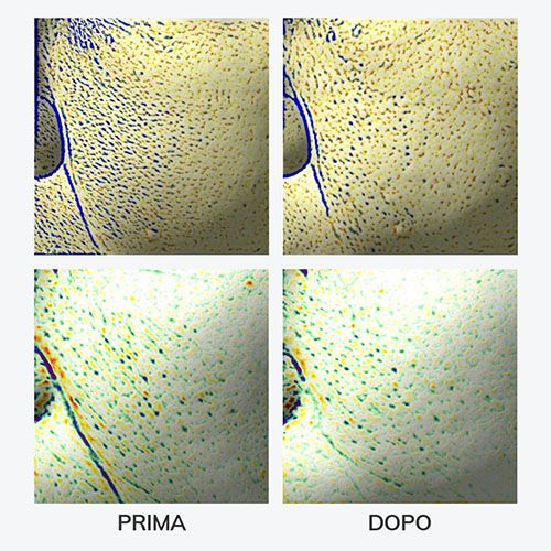 Hamel Glow 12gf Hyal Essence Toner - 200ml