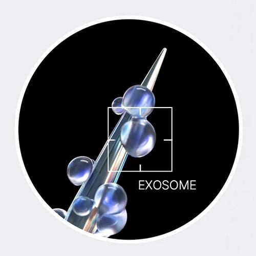 Medicube One Day Exosome Shot Pore Ampoule 7500 - 30ml